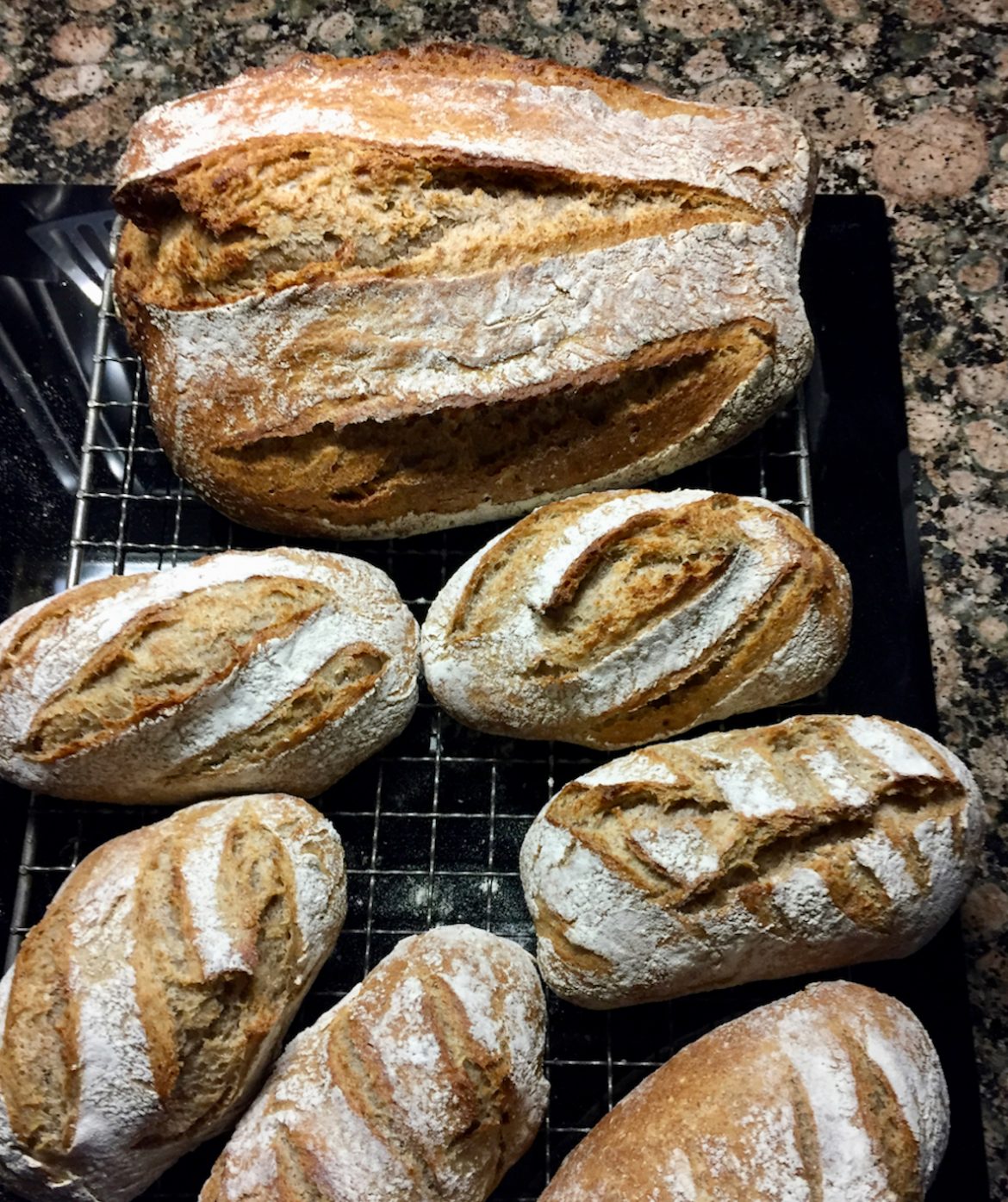 Surdejsbrød med surdej, rug og hvede