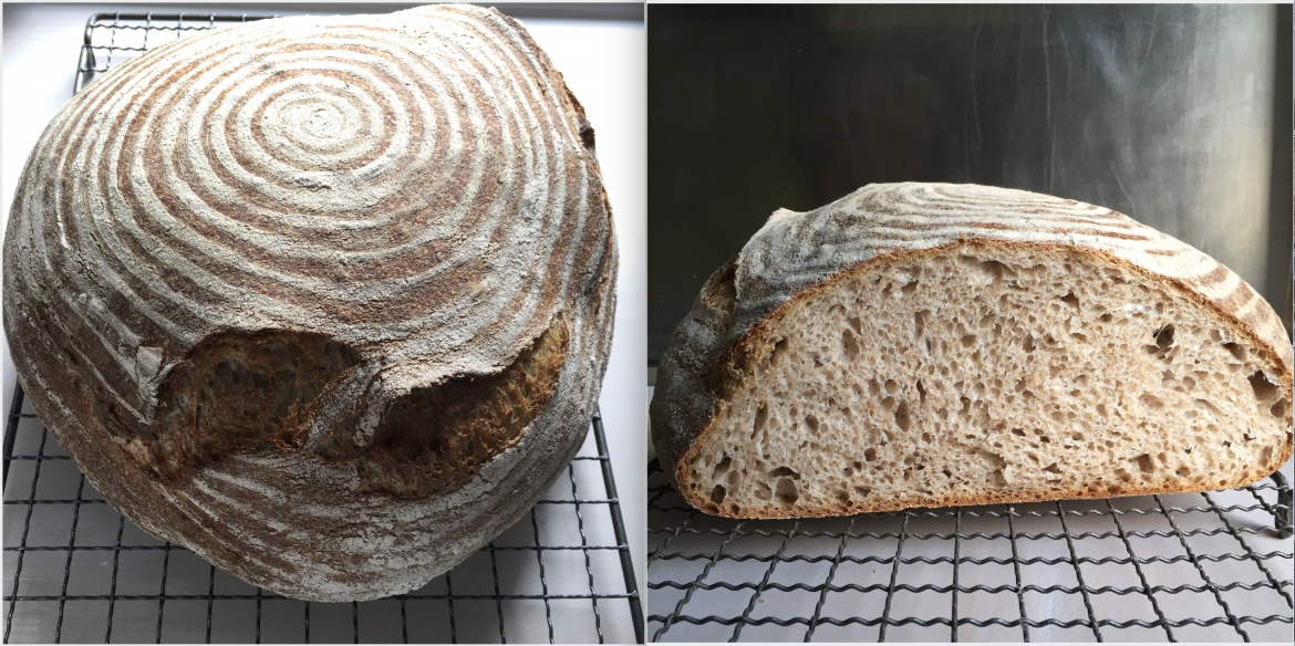 Surdejsbrød hævet i kurv