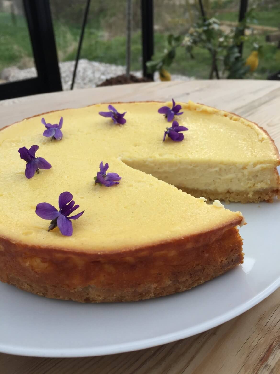 Italiensk cheesecake Italiensk cheesecake